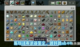 mc视频,揭秘虚拟世界的无限魅力